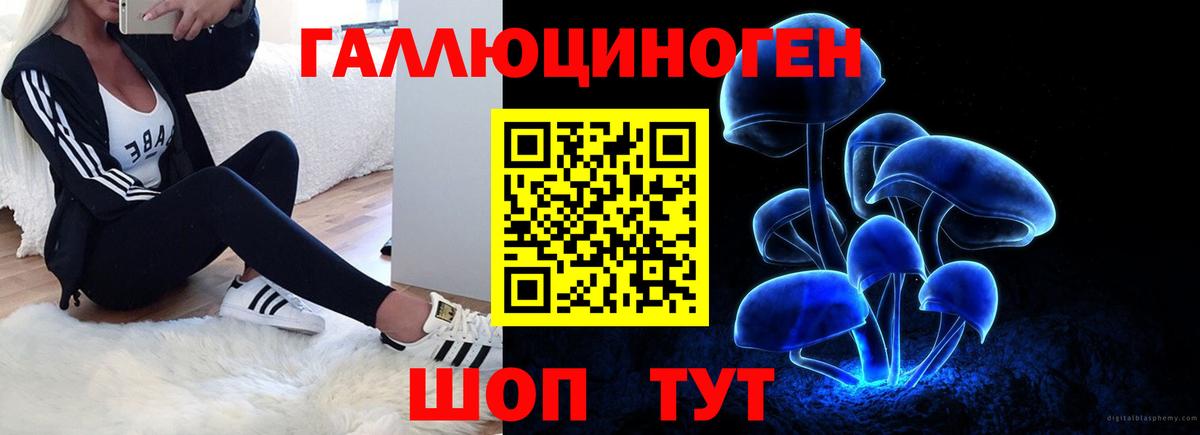 Будённовск  Псилоцибиновые грибы Magic Shrooms  Вход с VPN 
